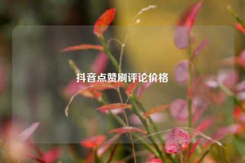 抖音点赞刷评论价格