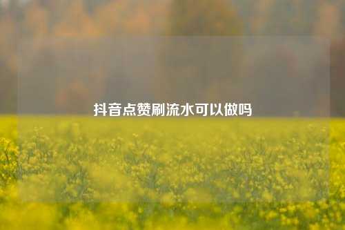 抖音点赞刷流水可以做吗