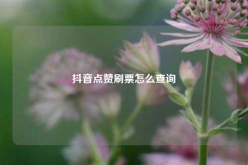 抖音点赞刷票怎么查询