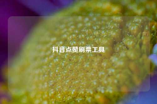 抖音点赞刷票工具