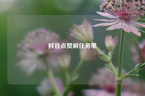 抖音点赞刷任务单