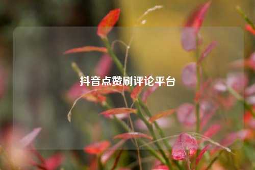 抖音点赞刷评论平台