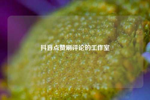 抖音点赞刷评论的工作室